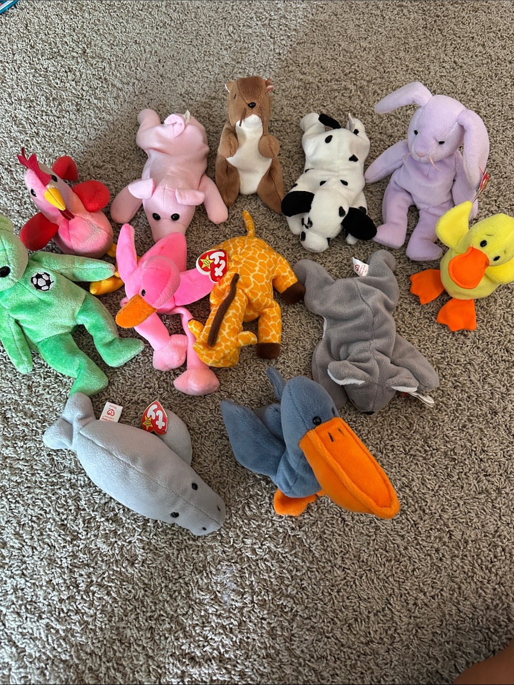 Ty Beanie Babies Assorted Plush Toys - Multi-Color Set